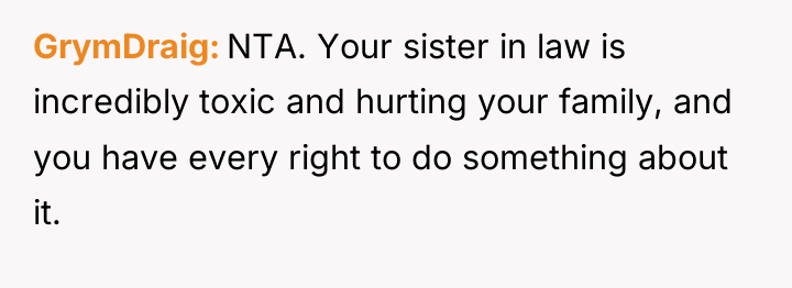 GrymDraig NTA. Your sister in law is incredibly toxic and...