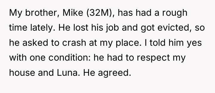My brother, Mike (32M), has had a rough time lately....
