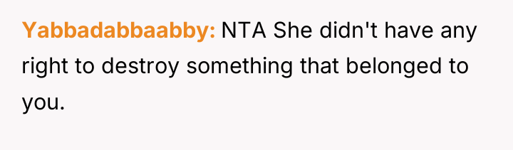 Yabbadabbaabby NTA She didn't have any right to destroy something...