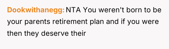 Dookwithanegg NTA You weren't born to be your parents retirement...