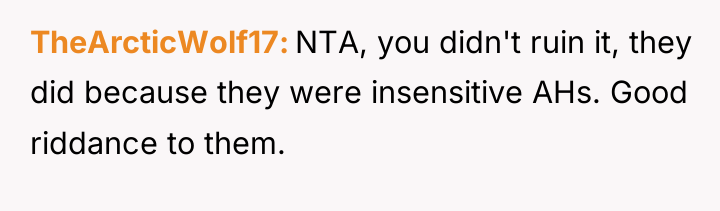 TheArcticWolf17 NTA, you didn't ruin it, they did because they...
