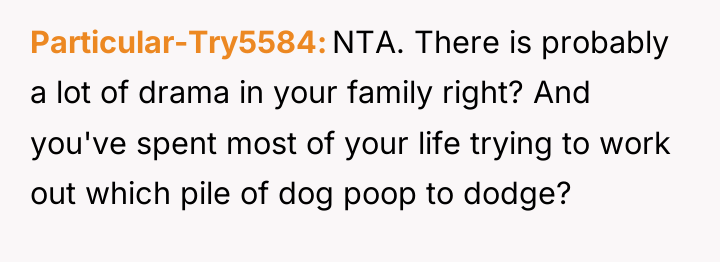 Particular-Try5584 NTA. There is probably a lot of drama in...