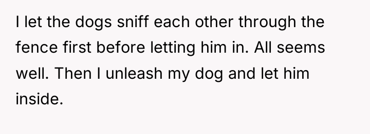 I let the dogs sniff each other through the fence...