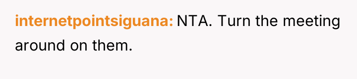 internetpointsiguana NTA. Turn the meeting around on them.