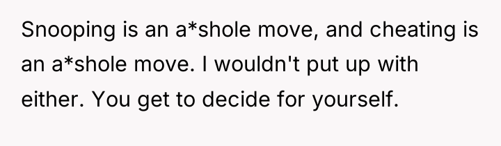 Snooping is an a*shole move, and cheating is an a*shole...
