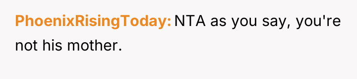 PhoenixRisingToday NTA as you say, you're not his mother.