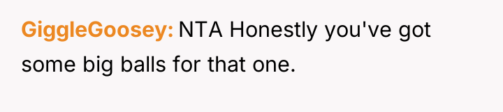GiggleGoosey NTA Honestly you've got some big balls for that...