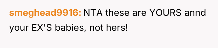 smeghead9916 NTA these are YOURS annd your EX'S babies, not...