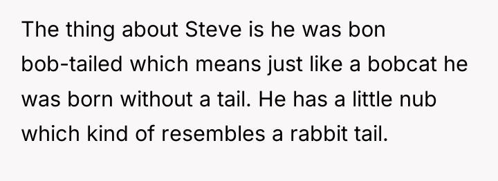 The thing about Steve is he was bon bob-tailed which...