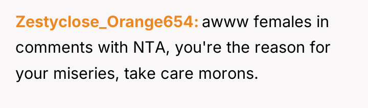 Zestyclose_Orange654 awww females in comments with NTA, you're the reason...