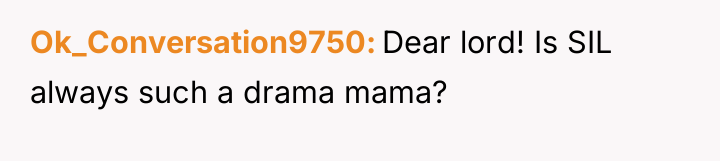 Ok_Conversation9750 Dear lord! Is SIL always such a drama mama?