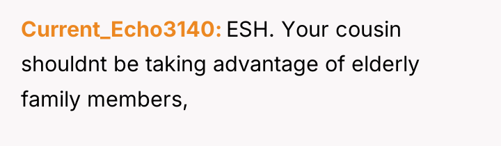 Current_Echo3140 ESH. Your cousin shouldnt be taking advantage of elderly...