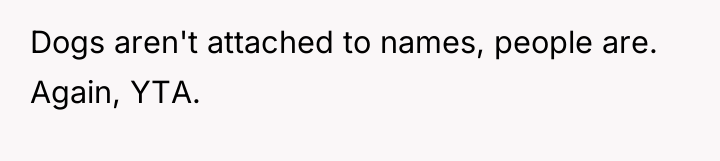 Dogs aren't attached to names, people are. Again, YTA.