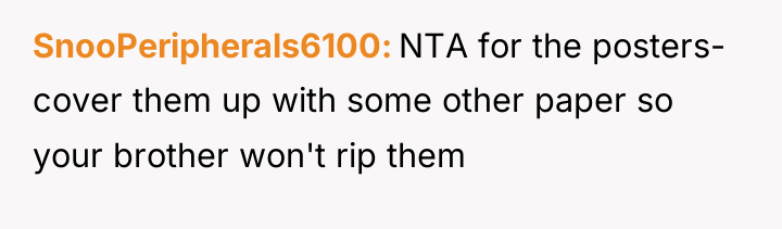 SnooPeripherals6100 NTA for the posters- cover them up with some...