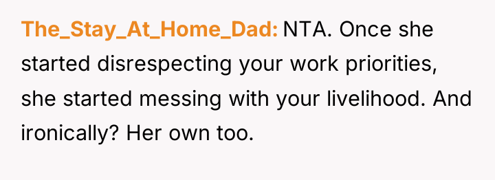 The_Stay_At_Home_Dad NTA. Once she started disrespecting your work priorities, she...