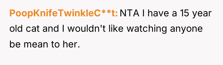 PoopKnifeTwinkleC**t NTA I have a 15 year old cat and...