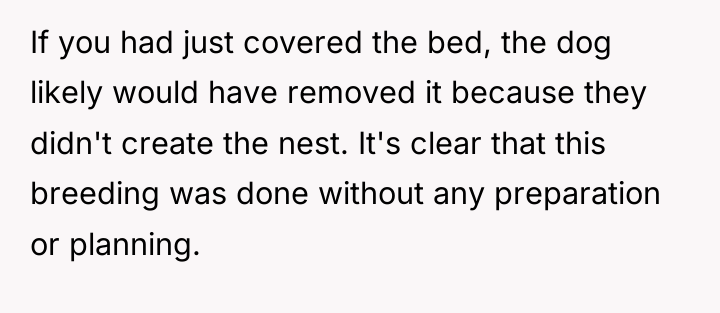 If you had just covered the bed, the dog likely...