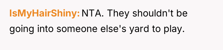 IsMyHairShiny NTA. They shouldn't be going into someone else's yard...