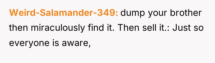 Weird-Salamander-349 dump your brother then miraculously find it. Then sell...