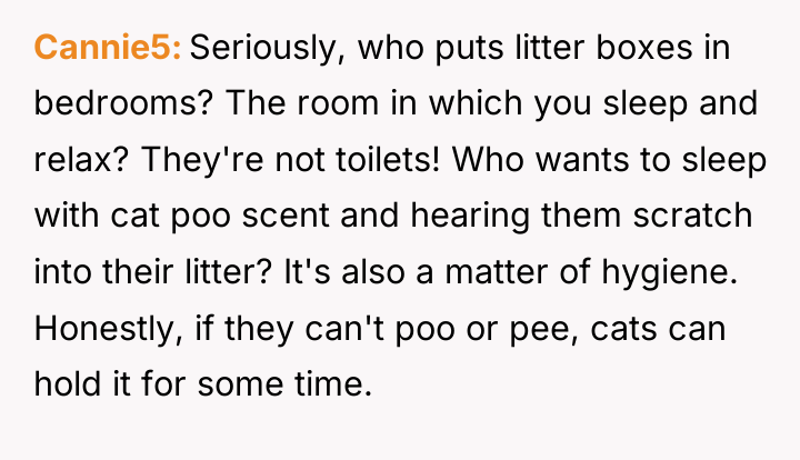 Cannie5 Seriously, who puts litter boxes in bedrooms? The room...