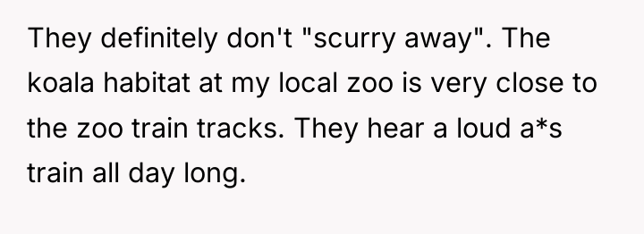 They definitely don't "scurry away". The koala habitat at my...