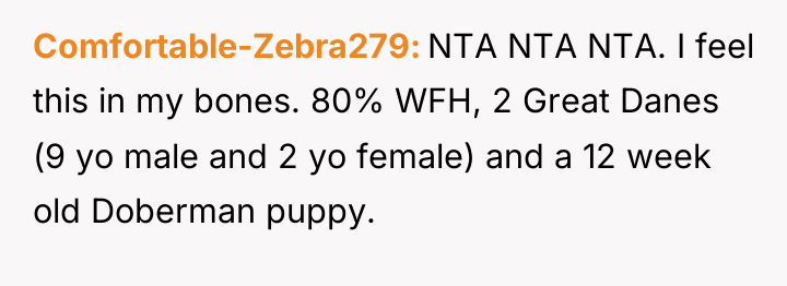 Comfortable-Zebra279 NTA NTA NTA. I feel this in my bones....