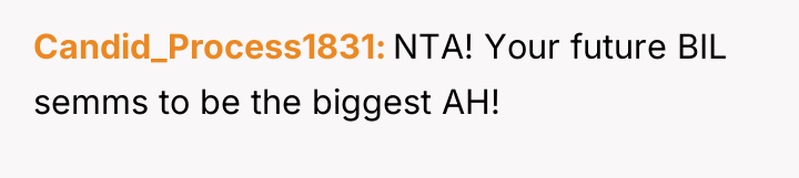 Candid_Process1831 NTA! Your future BIL semms to be the biggest...