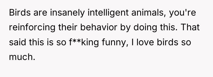 Birds are insanely intelligent animals, you're reinforcing their behavior by...