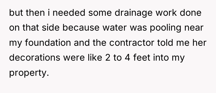 but then i needed some drainage work done on that...