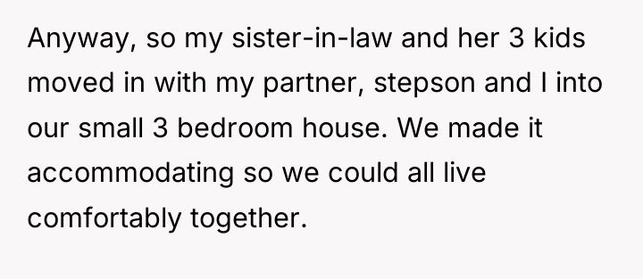 Anyway, so my sister-in-law and her 3 kids moved in...