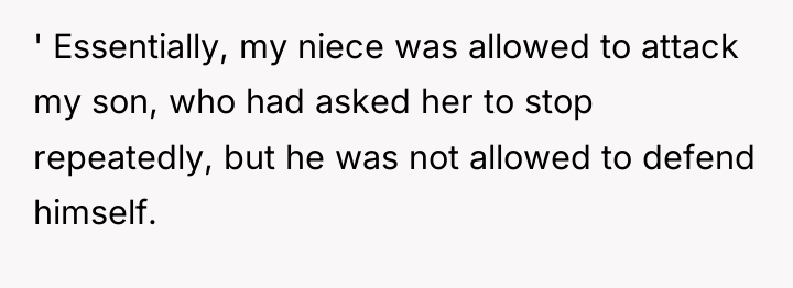 ' Essentially, my niece was allowed to attack my son,...