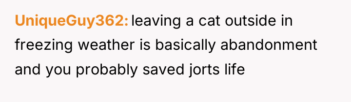 UniqueGuy362 leaving a cat outside in freezing weather is basically...