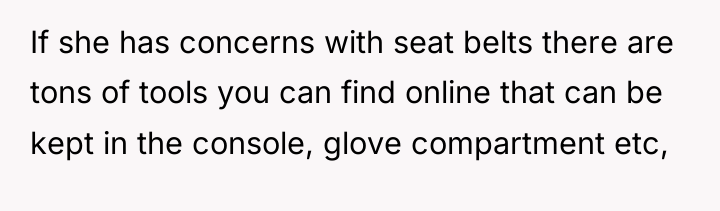If she has concerns with seat belts there are tons...