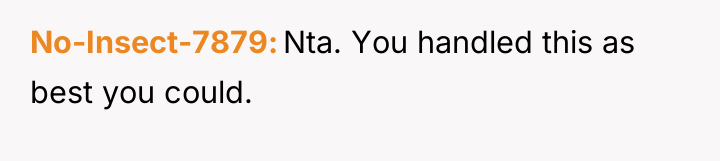 No-Insect-7879 Nta. You handled this as best you could.