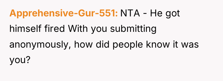 Apprehensive-Gur-551 NTA - He got himself fired With you submitting...