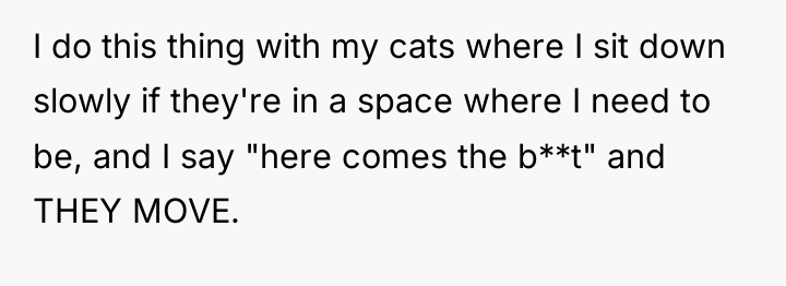 I do this thing with my cats where I sit...