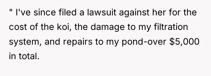 " I've since filed a lawsuit against her for the...