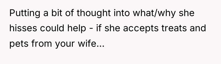 Putting a bit of thought into what/why she hisses could...