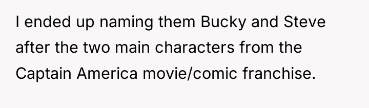 I ended up naming them Bucky and Steve after the...
