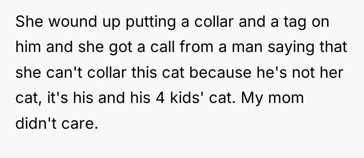 She wound up putting a collar and a tag on...