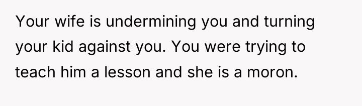 Your wife is undermining you and turning your kid against...