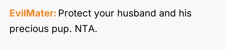 EvilMater Protect your husband and his precious pup. NTA.