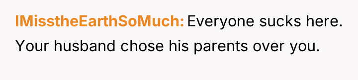 IMisstheEarthSoMuch Everyone sucks here. Your husband chose his parents over...