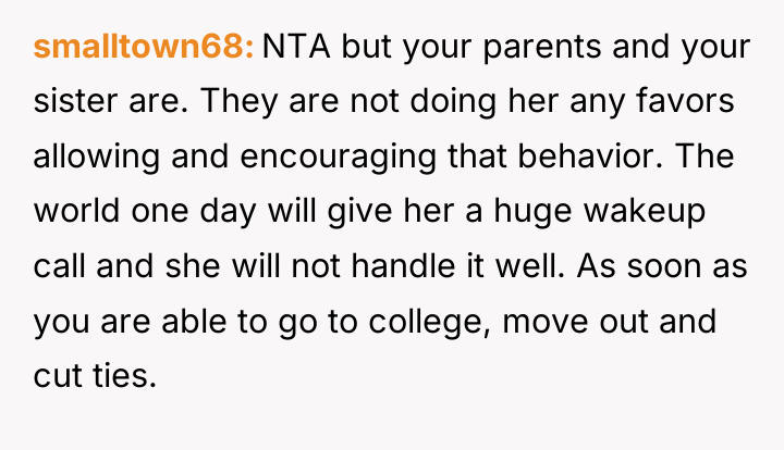 smalltown68 NTA but your parents and your sister are. They...
