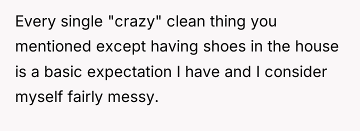 Every single "crazy" clean thing you mentioned except having shoes...