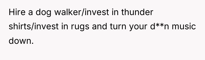 Hire a dog walker/invest in thunder shirts/invest in rugs and...