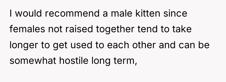 I would recommend a male kitten since females not raised...
