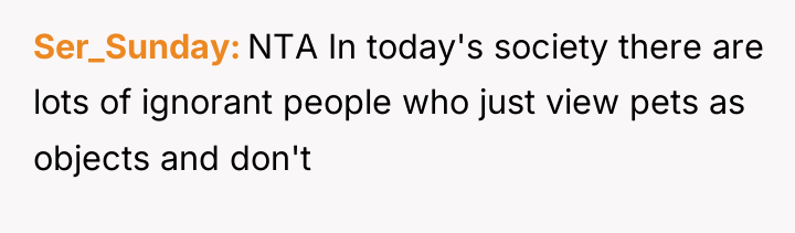 Ser_Sunday NTA In today's society there are lots of ignorant...