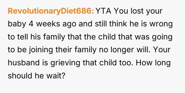 RevolutionaryDiet686 YTA You lost your baby 4 weeks ago and...