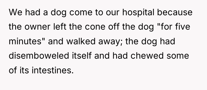 We had a dog come to our hospital because the...